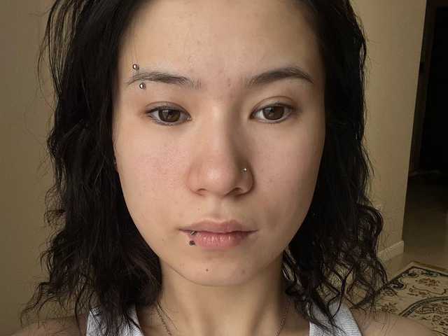 صورة الملف الشخصي Sianess