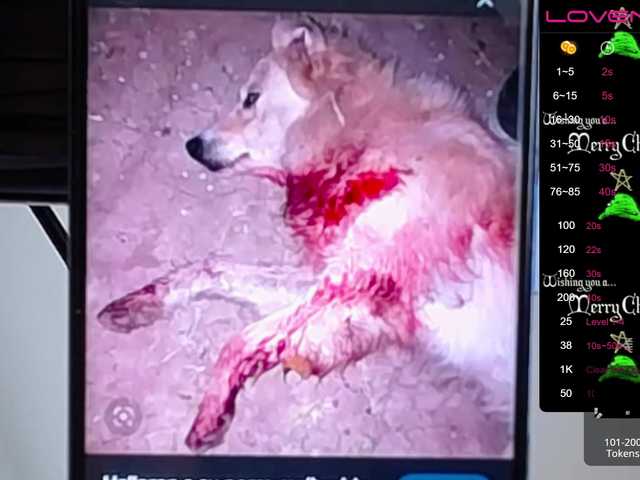 لقطات البث sofiaclaus