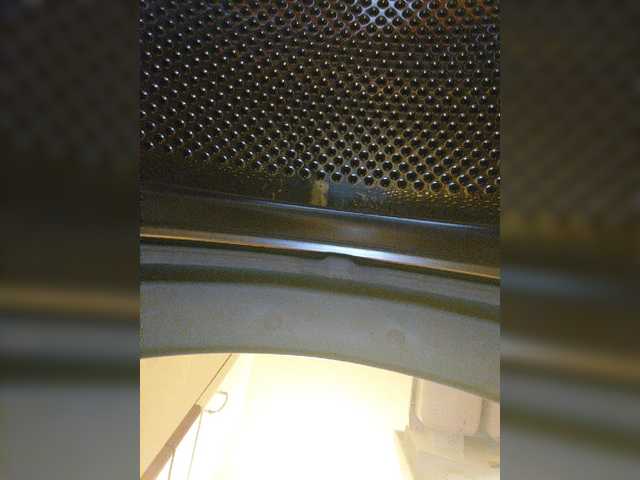 لقطات البث StacyDavise