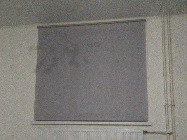 لقطات البث Stasyaa