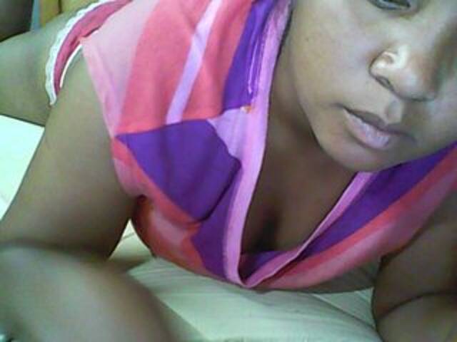 لقطات البث Summer-Cat