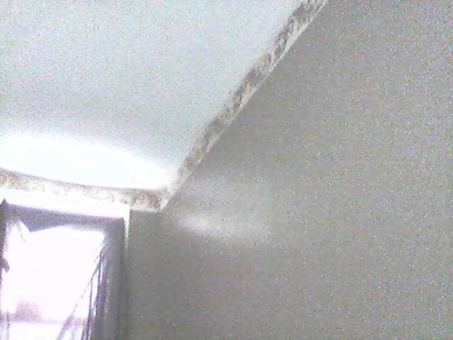 لقطات البث supa19kitty