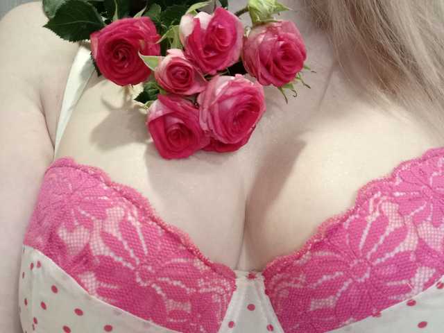 صورة الملف الشخصي SweetFox