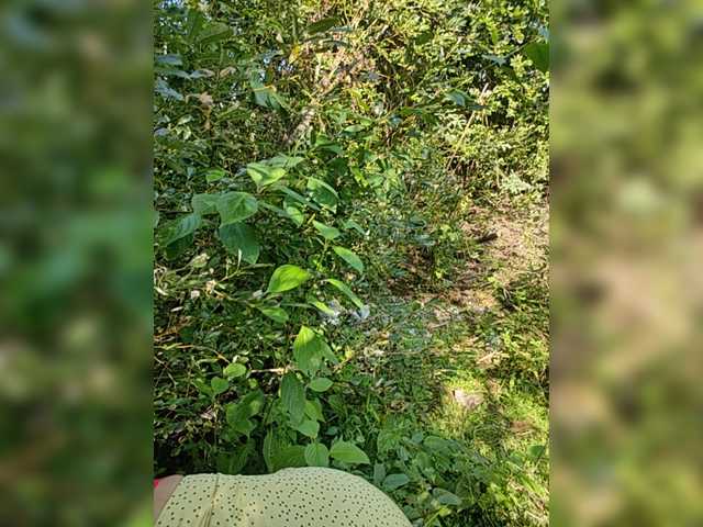 لقطات البث AliceWarren