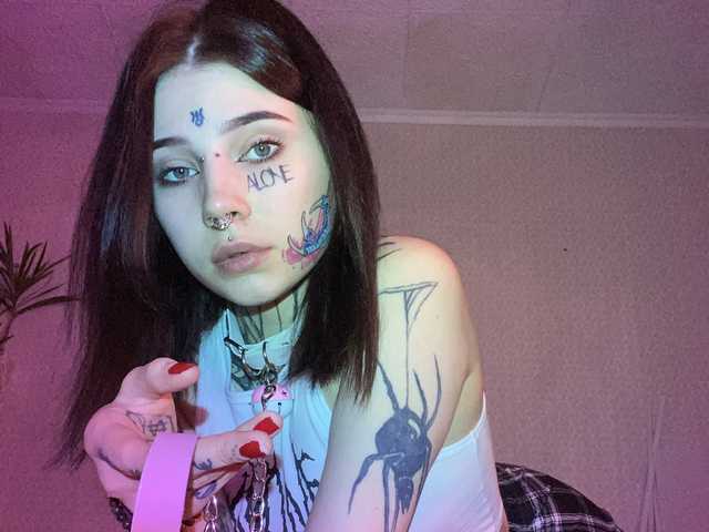 صورة الملف الشخصي tradishka