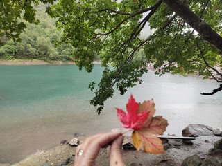 دردشة الفيديو المثيرة _GoodGirl_