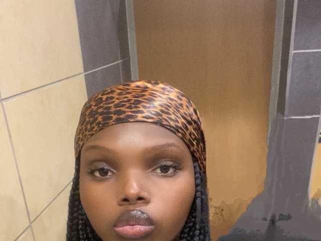 صورة الملف الشخصي Wildcata