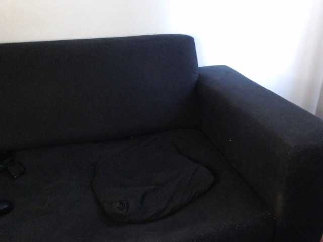 لقطات البث WildPetal963