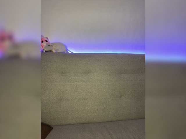 لقطات البث Wulka