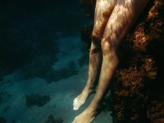 دردشة الفيديو المثيرة Zara2000